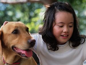 可愛いペットにも保険は必要です！