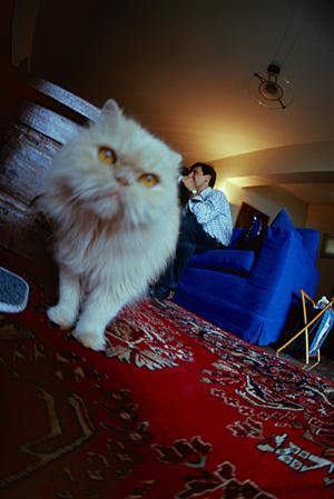 愛犬の健康を守る！最適な療法食の選び方とおすすめガイド