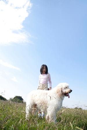 シロアリ駆除のエキスパート、アサンテ：安心の施工実績と迅速対応が魅力