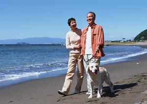 健康志向なドッグフードの通信販売