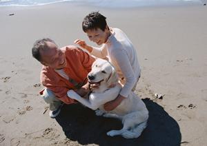 モコモコで元気なティーカッププードル