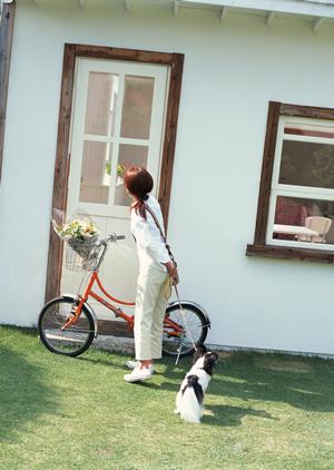 ペットの安全な輸送方法と信頼できる業者選びの完全ガイド