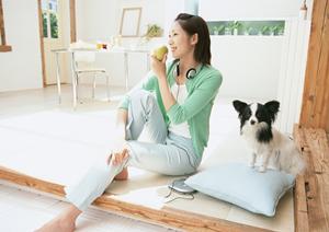 トイプードル専門のブリーダーの紹介