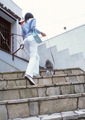 京都市にある動物の専門病院の紹介