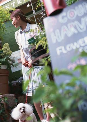 信頼と実績のアサンテが提供するシロアリ駆除サービス：即日対応・土日祝日も受付中